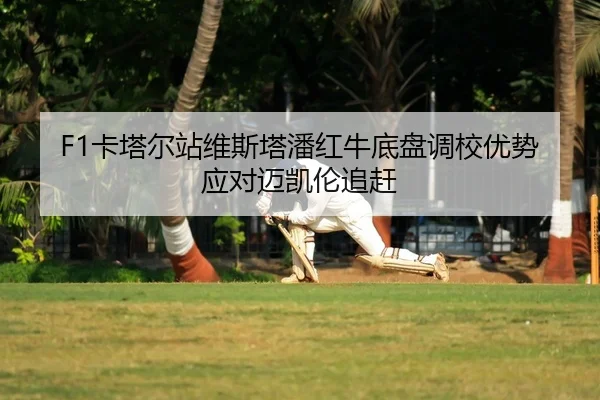 ka-ta-er-zhan-wei-si-ta-pan-hong-niu-di-pan-diao-xiao-you-shi-ying-dui-mai-kai-lun-zhui-gan-2-439.jpg